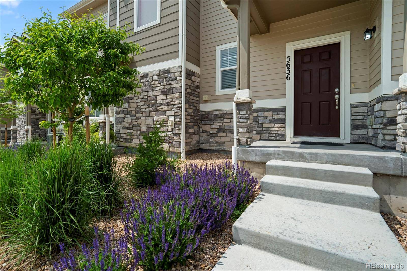 Castle Rock, CO 80104,5636 Canyon View DR