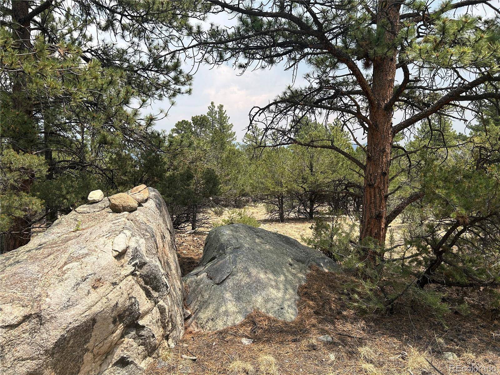Buena Vista, CO 81211,30160 Princeton CIR