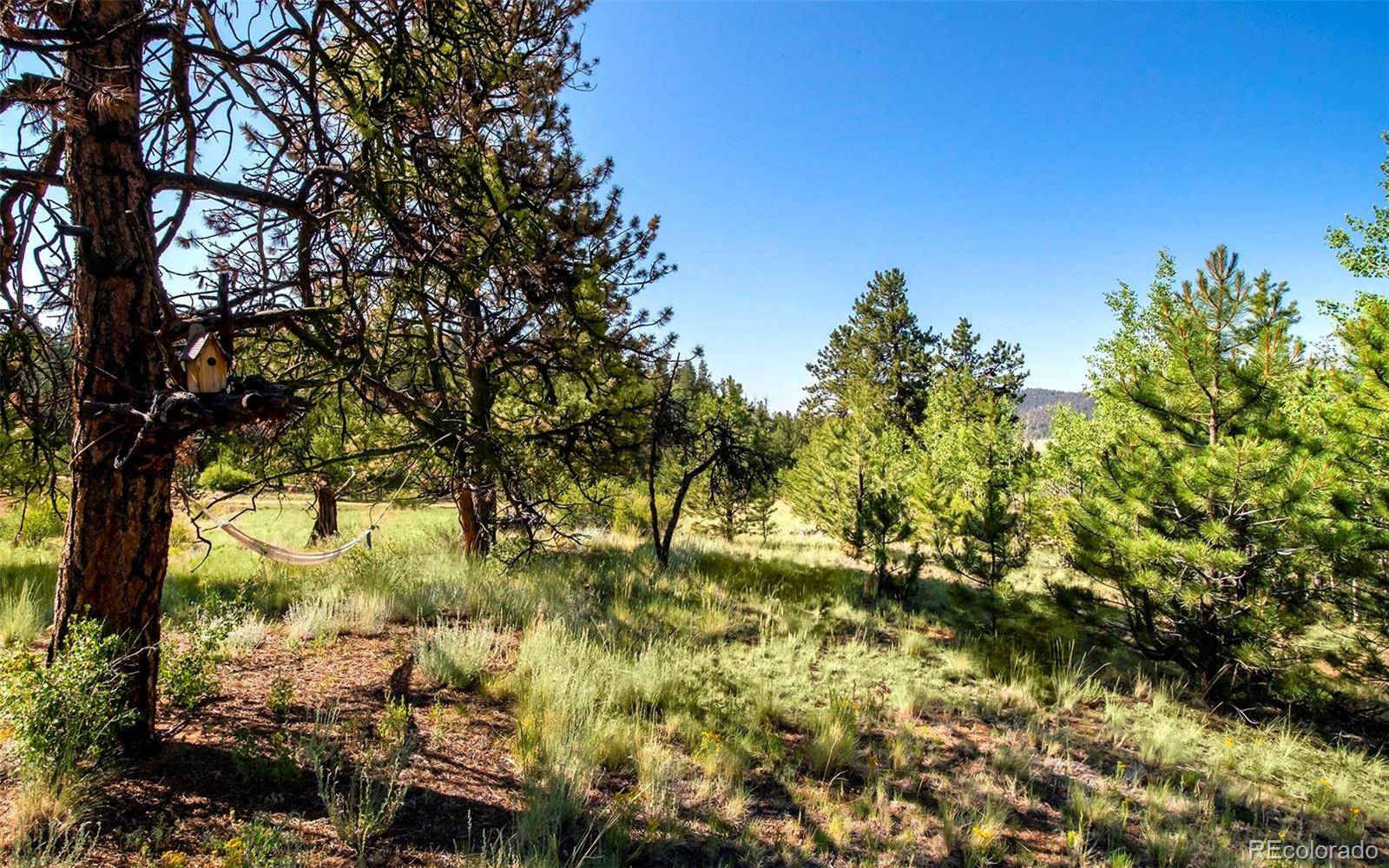 Hartsel, CO 80449,245 Pine LN