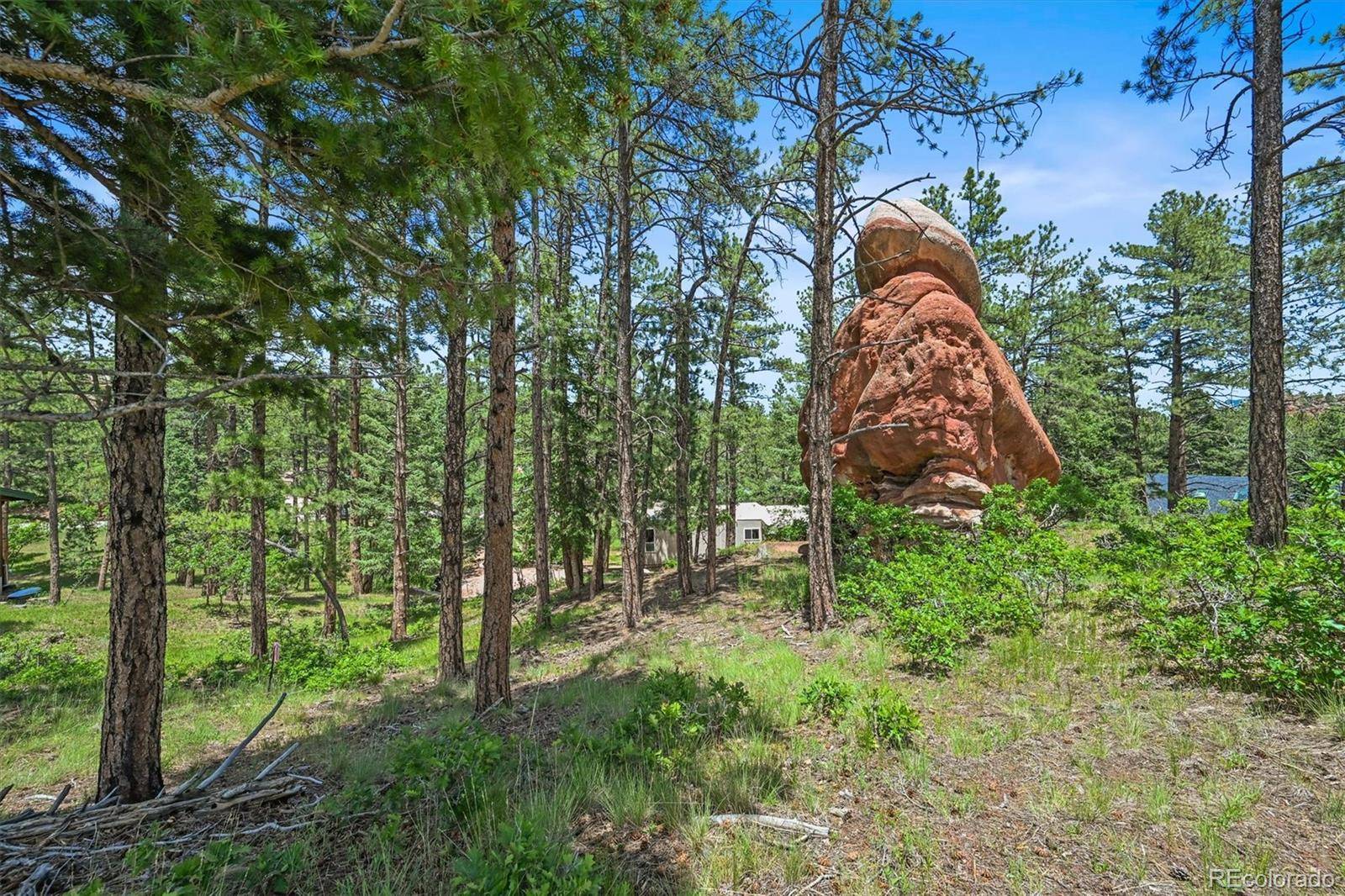 Larkspur, CO 80118,6100 Apache DR
