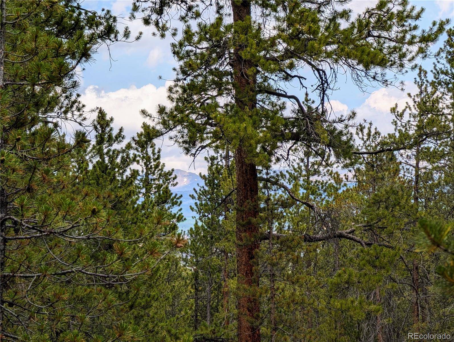 Twin Lakes, CO 81251,1073 Sequoia DR