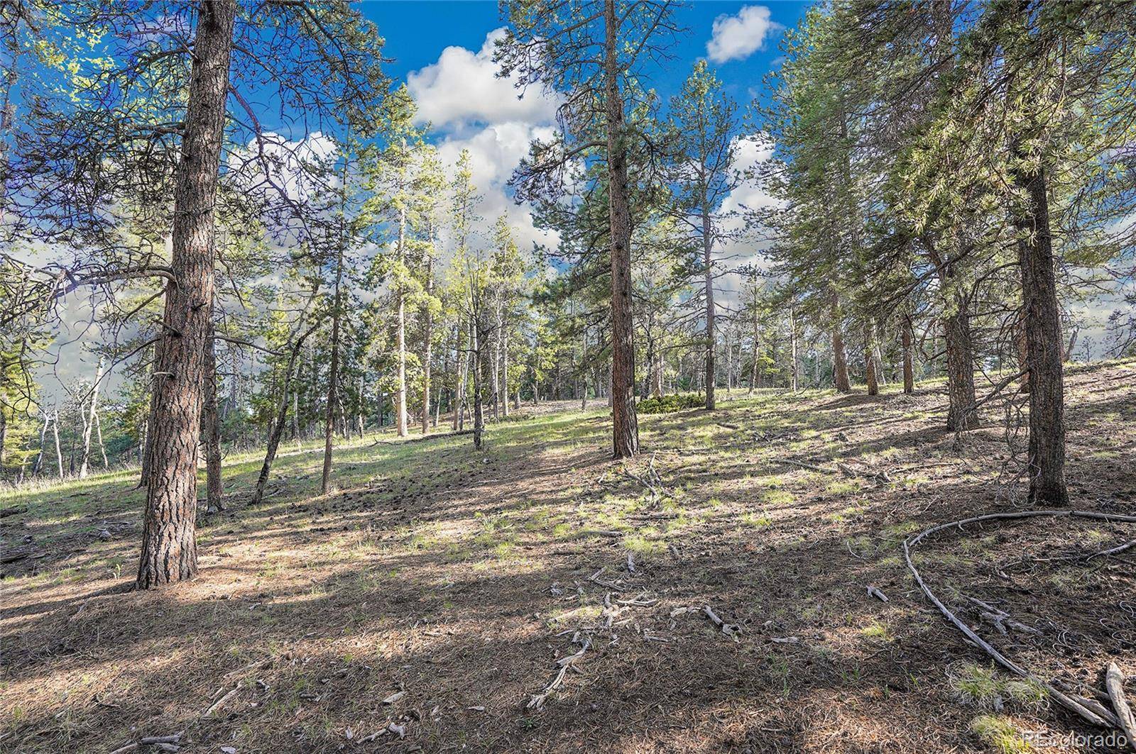 Conifer, CO 80433,Molly Dr, Lot #3