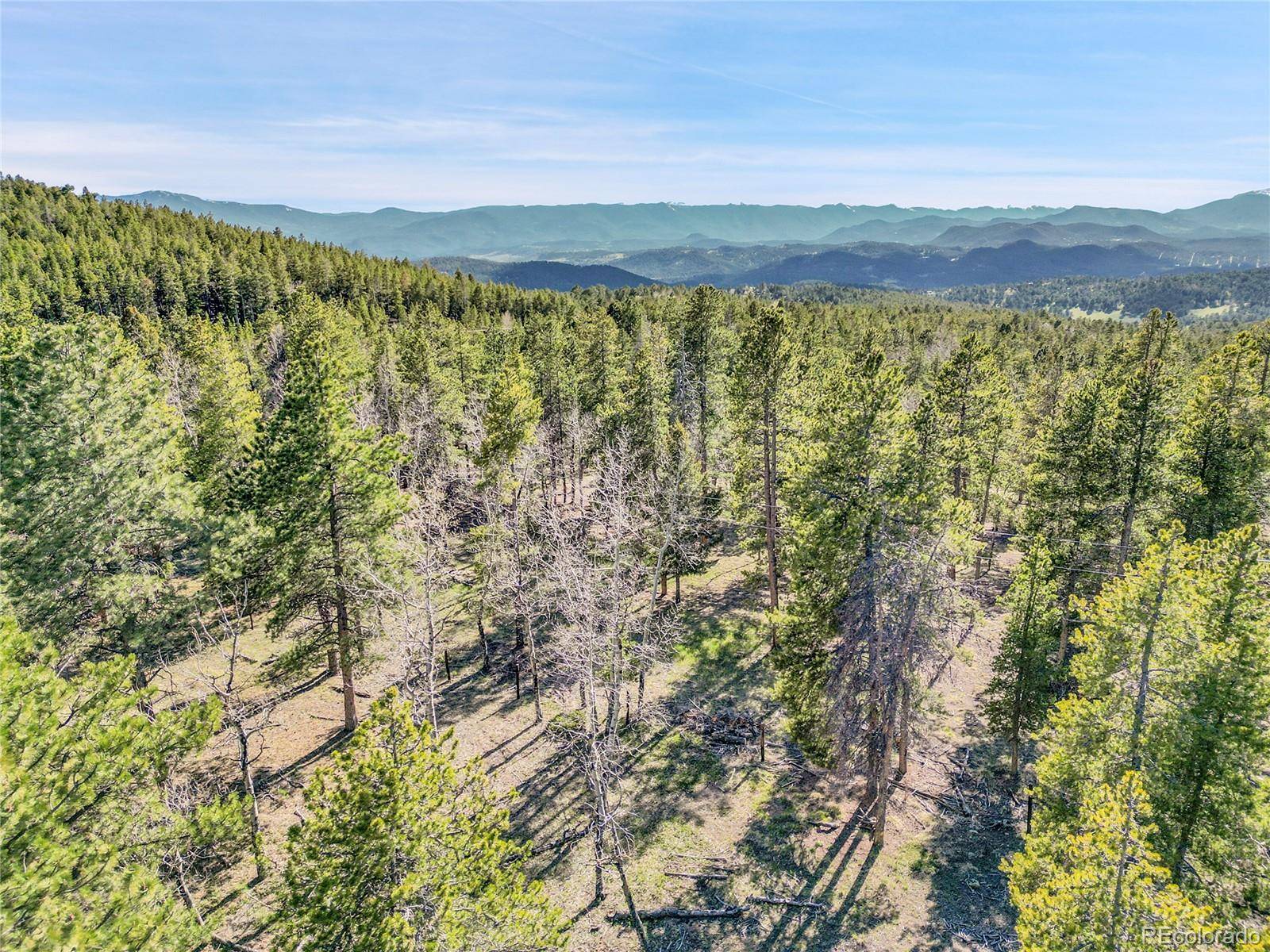 Conifer, CO 80433,Molly Dr, Lot #3