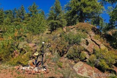 Lake George, CO 80827,1061 Toms Ranch RD