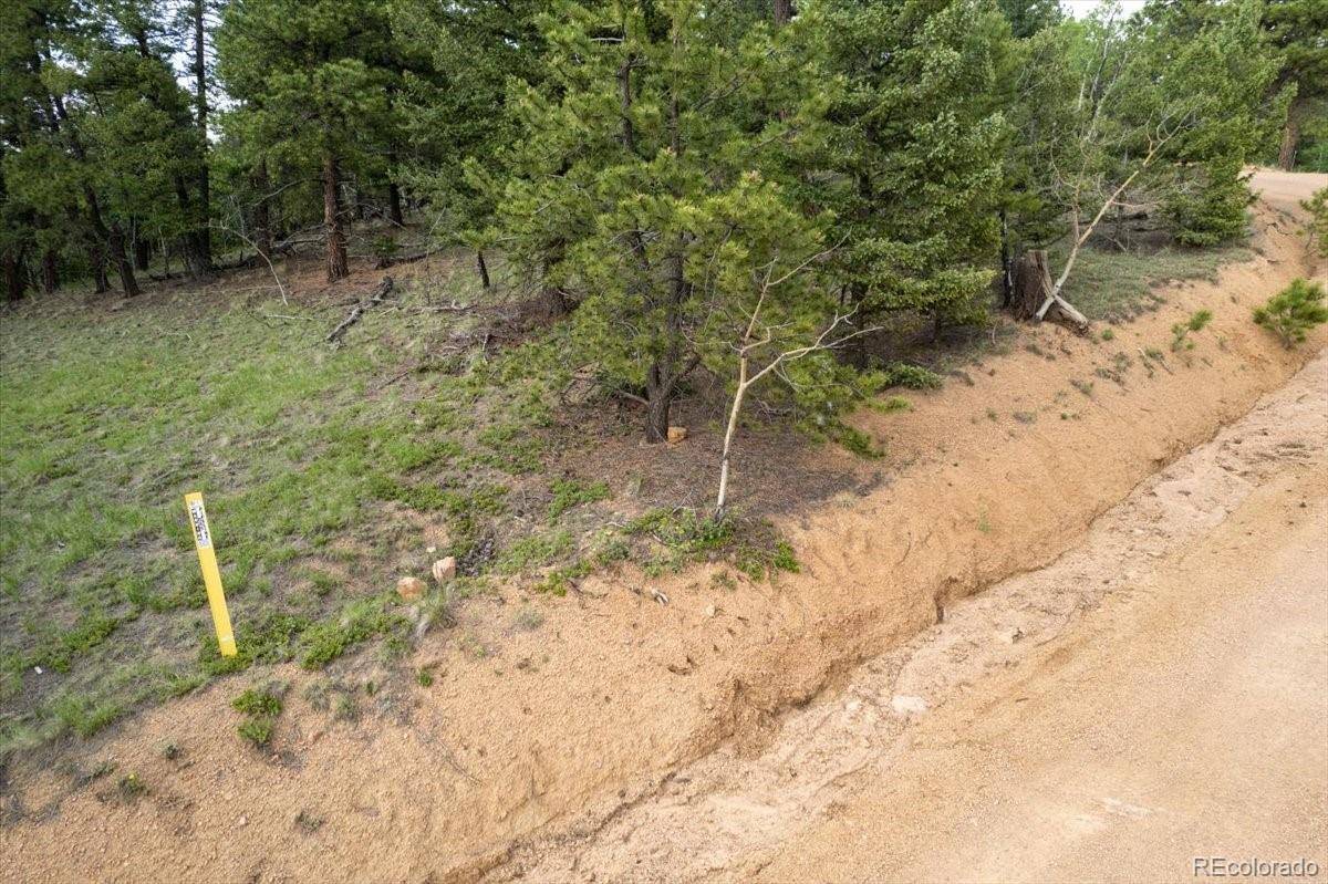 Florissant, CO 80816,2231 N Mountain Estates RD