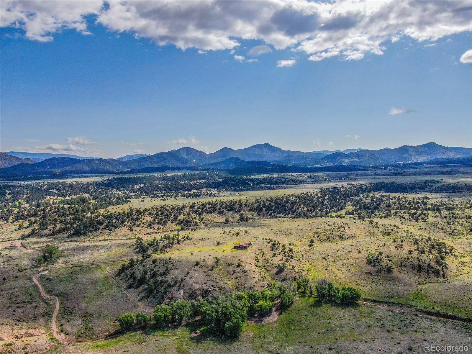 Westcliffe, CO 81252,373 Deer Springs CIR