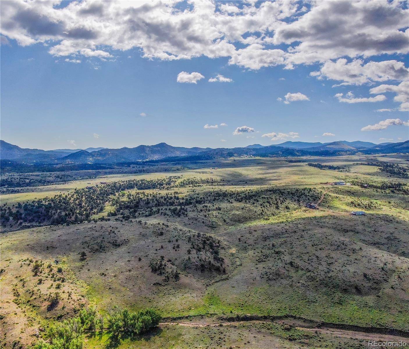 Westcliffe, CO 81252,373 Deer Springs CIR