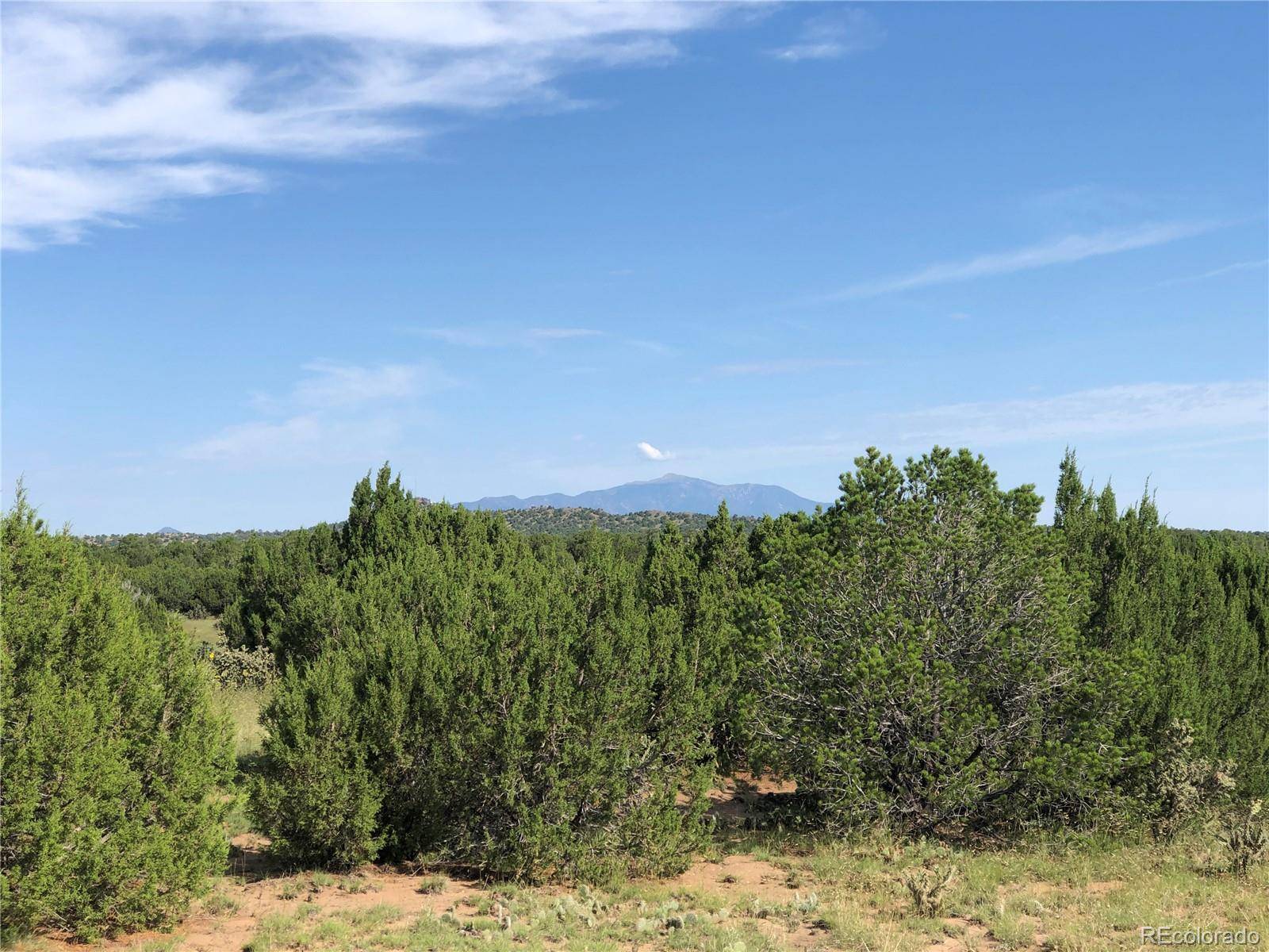 Walsenburg, CO 81089,lot 86 Hellifino RD