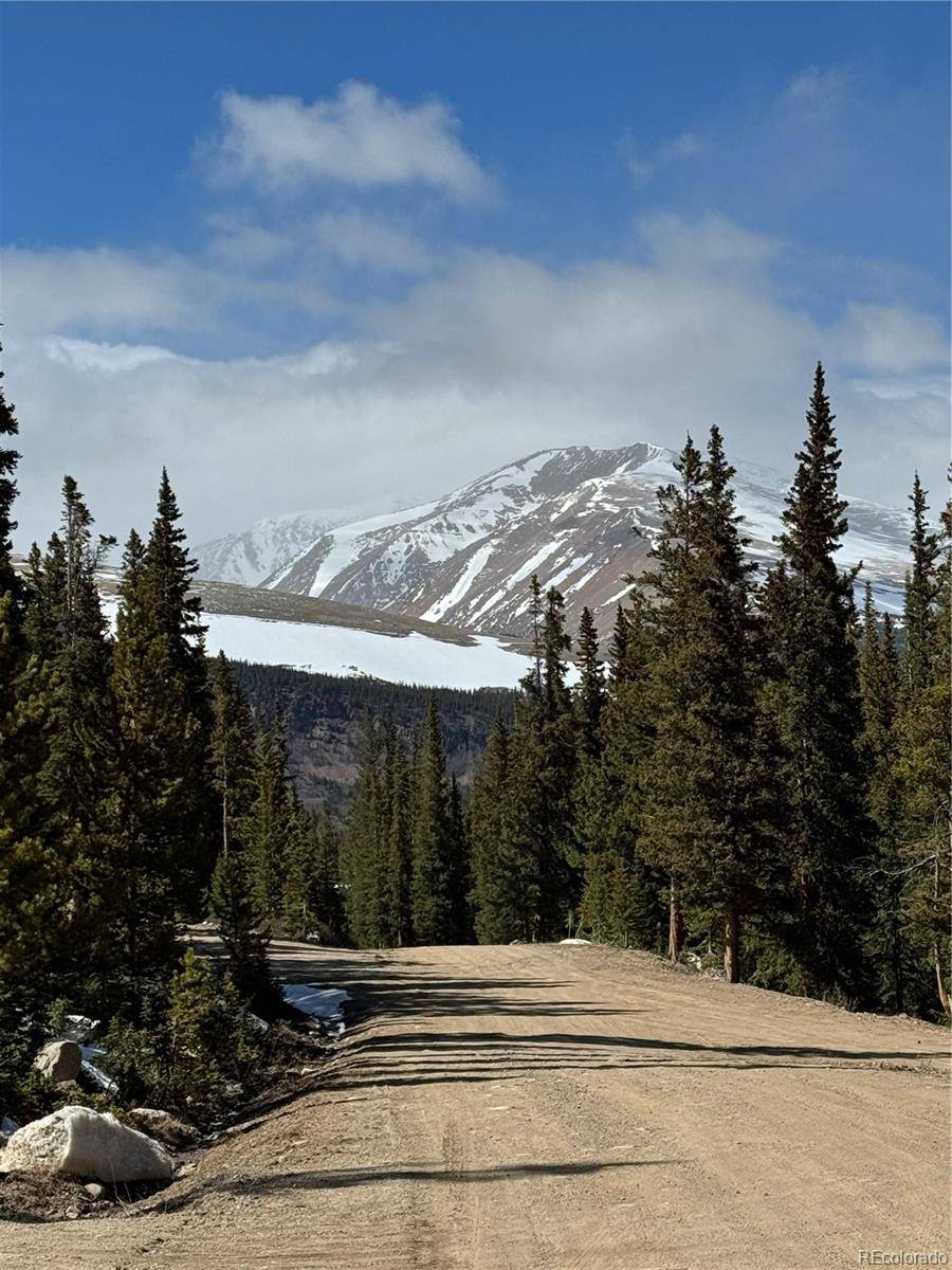 Fairplay, CO 80440,630 Silverheels PL