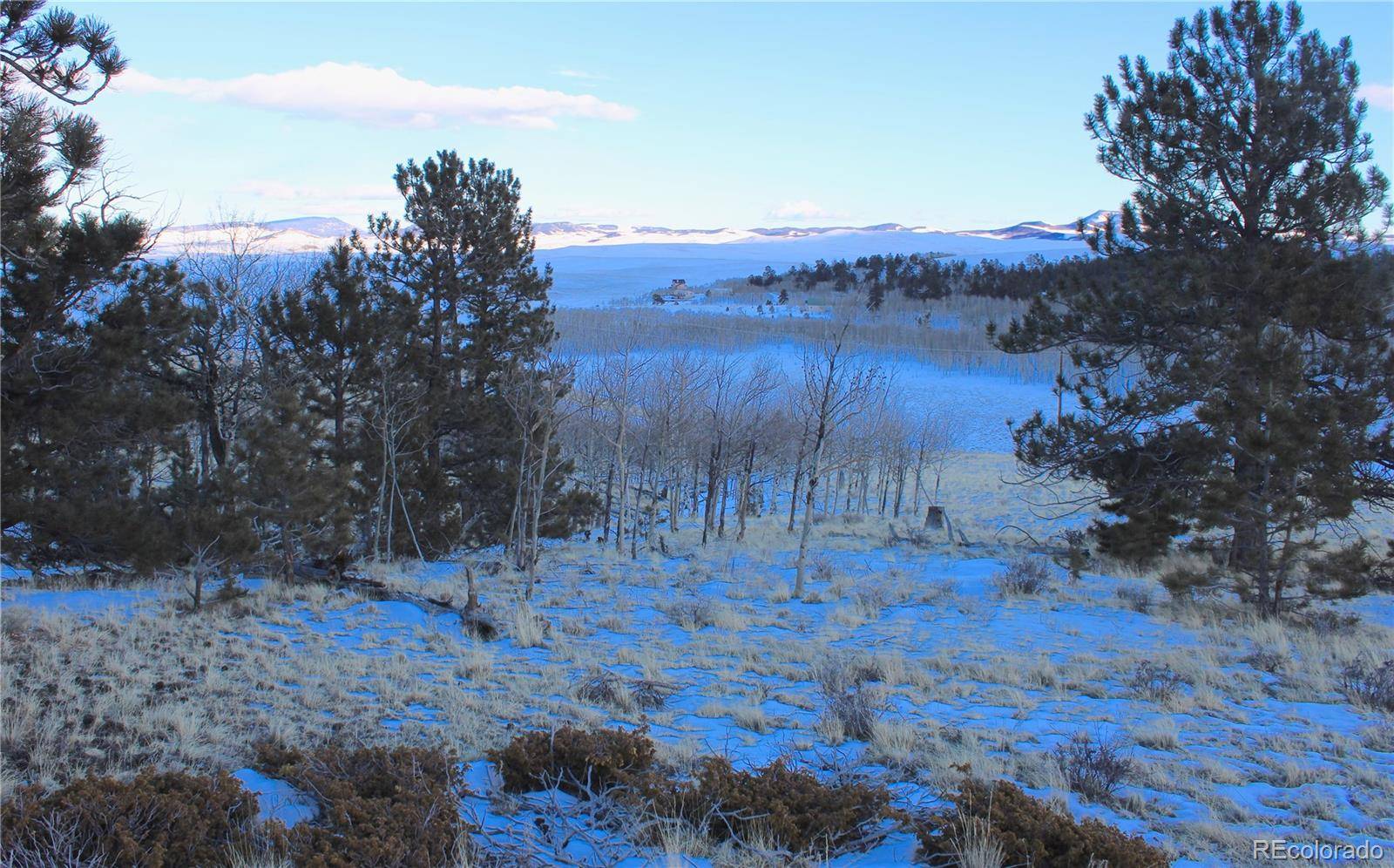 Hartsel, CO 80449,11414 Ranch RD
