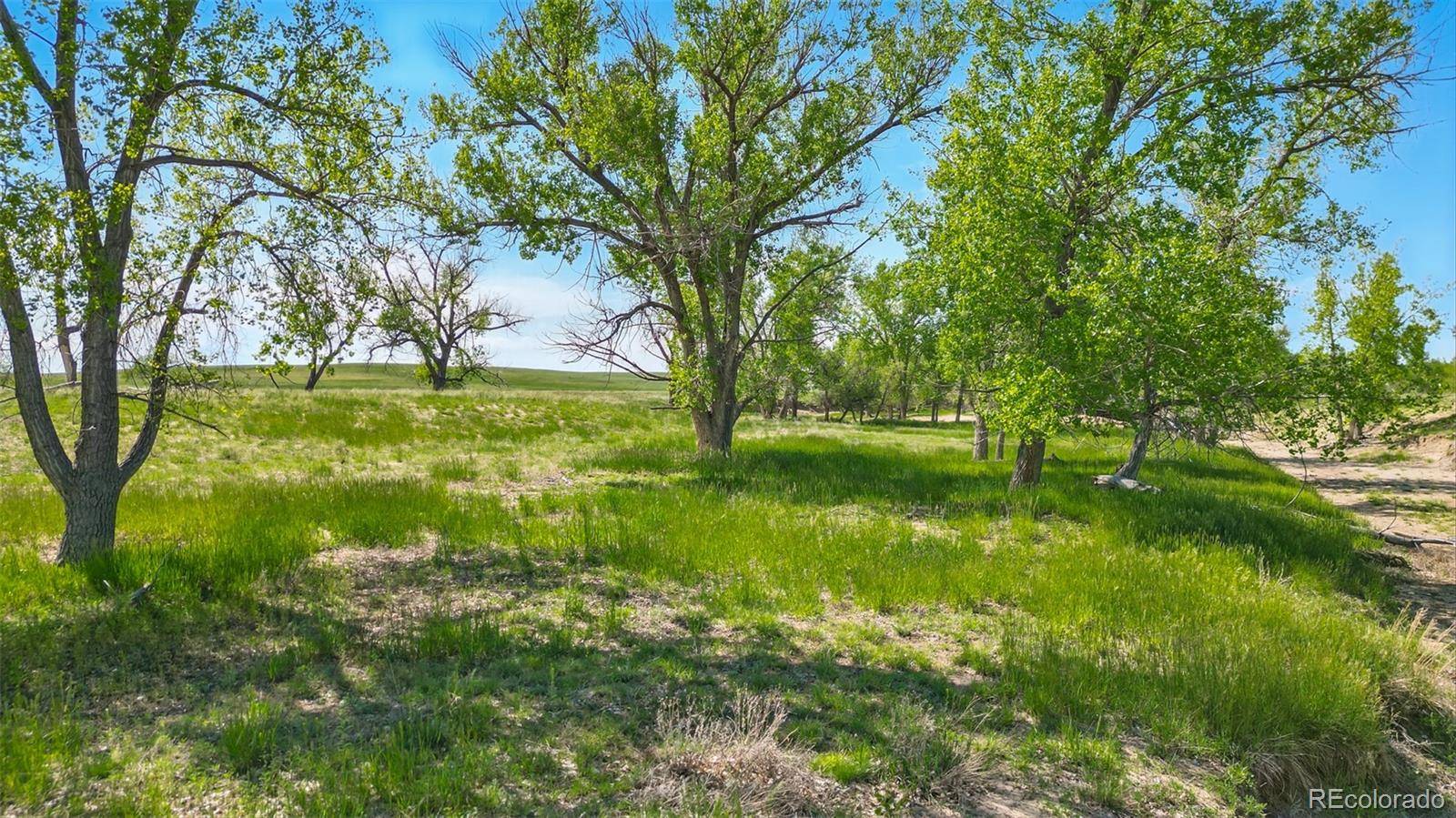 Ramah, CO 80832,Parcel C W County Road 105