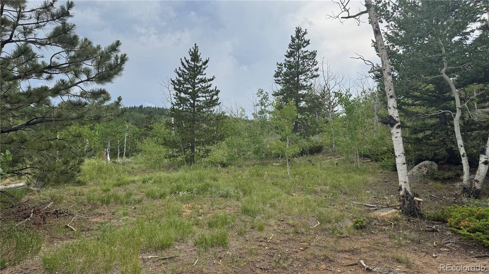 Central City, CO 80427,007 Virginia Canyon RD