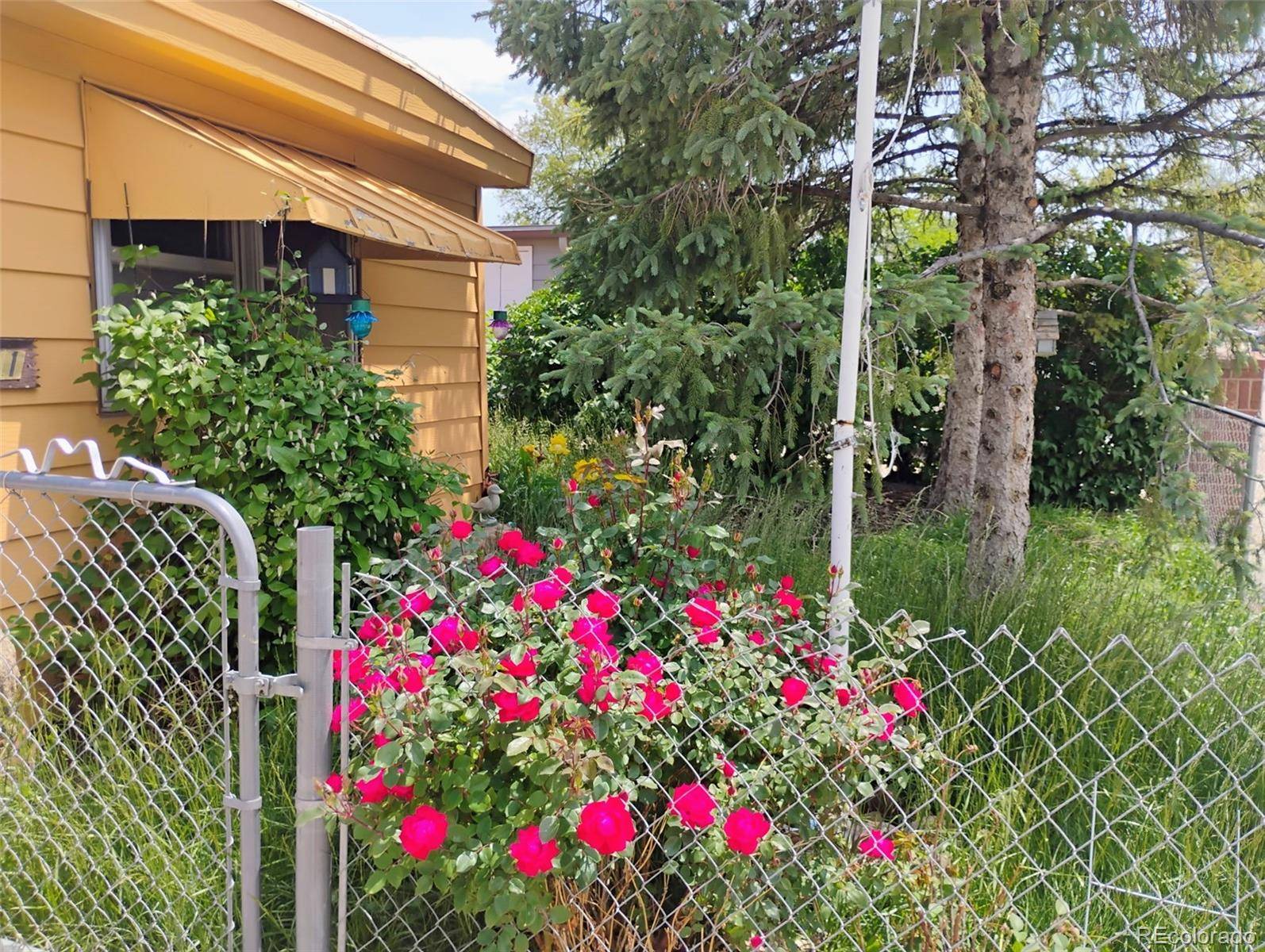 Dacono, CO 80514,1011 Glen Creighton DR