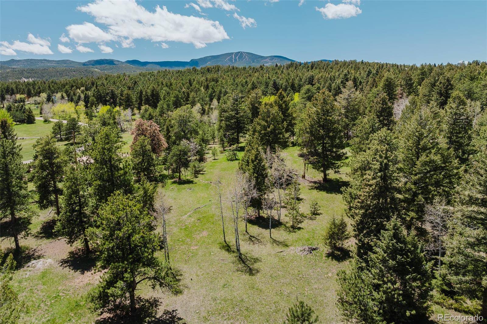 Evergreen, CO 80439,8177 Centaur DR