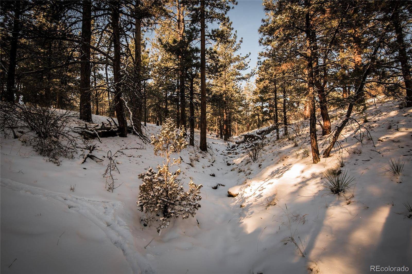 Nathrop, CO 81236,Lot 106 Tabeguache