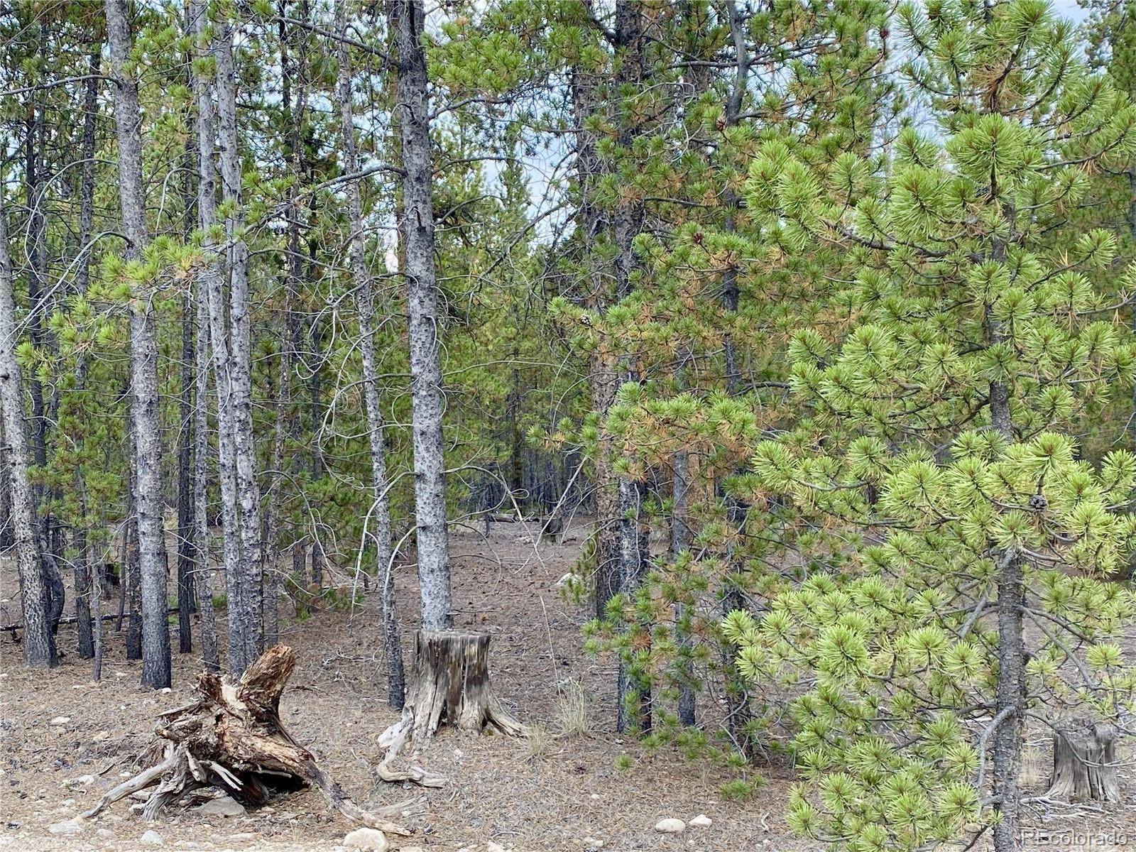 Twin Lakes, CO 80461,340 Peak View DR