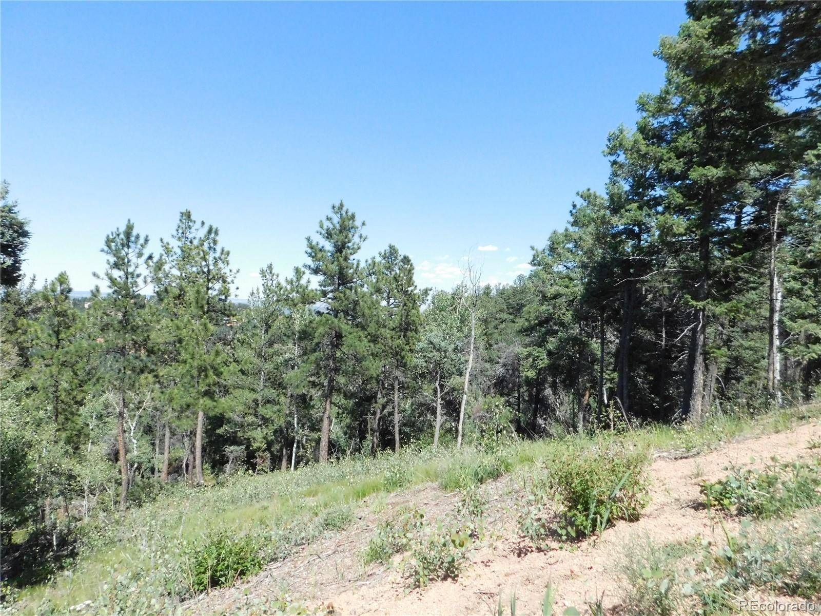 Larkspur, CO 80118,13670 Spruce Creek CIR