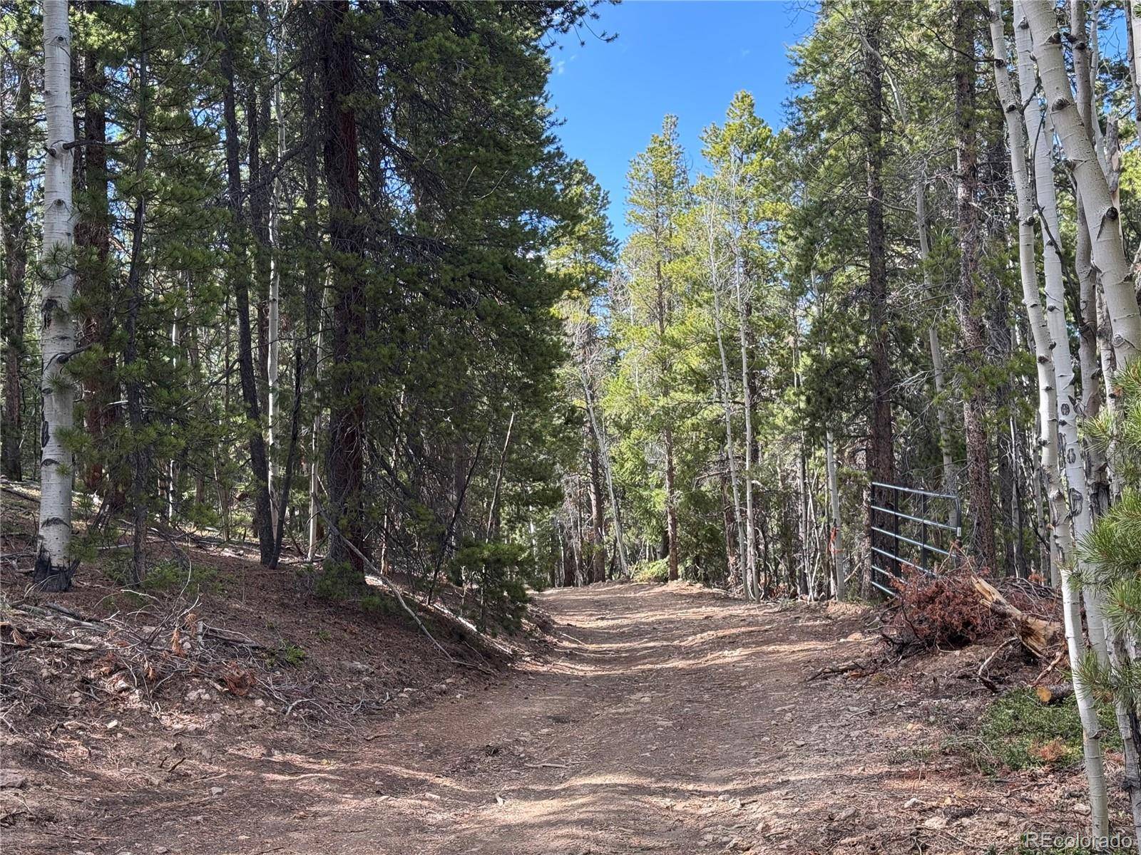 Central City, CO 80427,004 Pewabic Mine RD