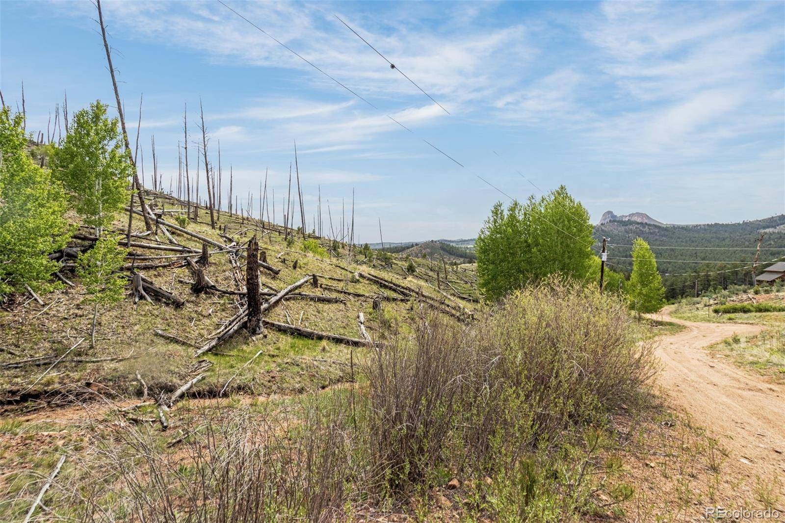 Woodland Park, CO 80863,L1 B4 Columbine CIR