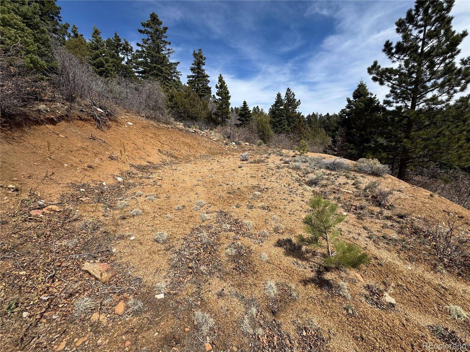 Cotopaxi, CO 81223,Trail DR