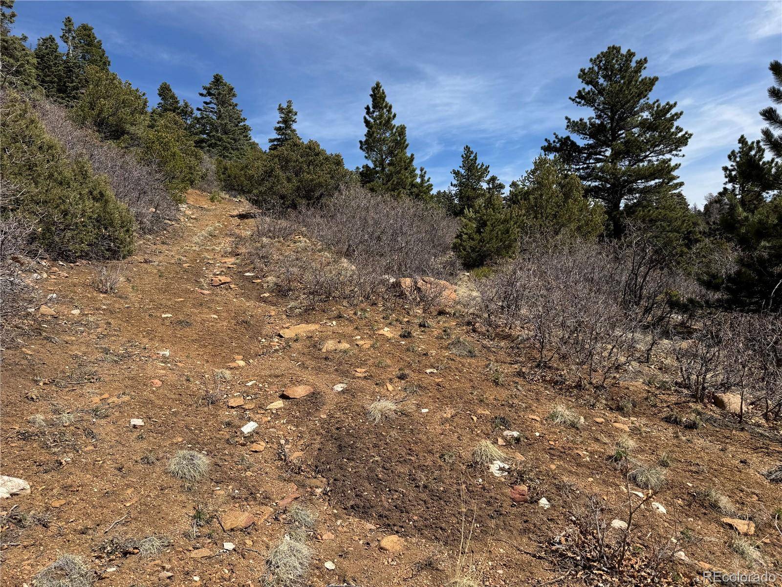 Cotopaxi, CO 81223,Trail DR