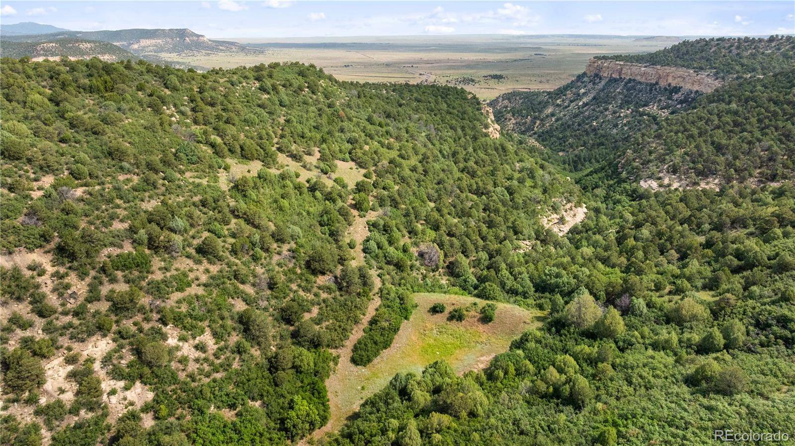 Trinidad, CO 81082,Lots F & J Tollerburg RD