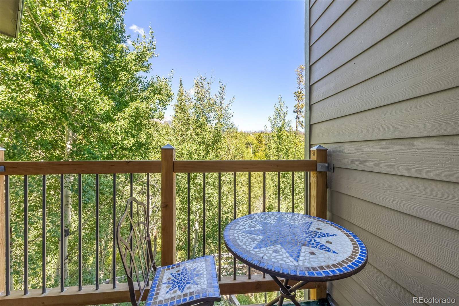 Silverthorne, CO 80498,2200 Lodgepole CIR #308