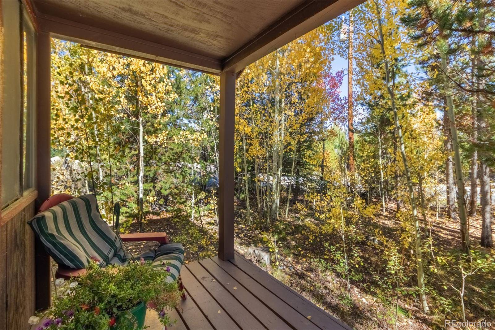 Grand Lake, CO 80447,1239 GCR 49