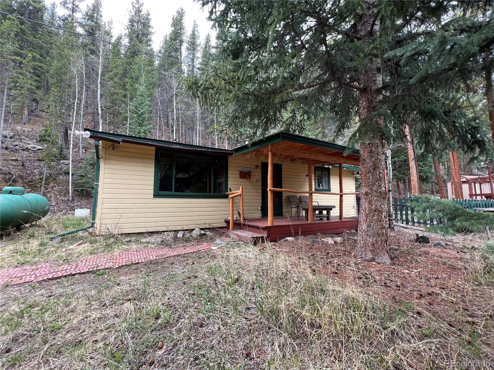 Bailey, CO 80421,7843 County Road 43