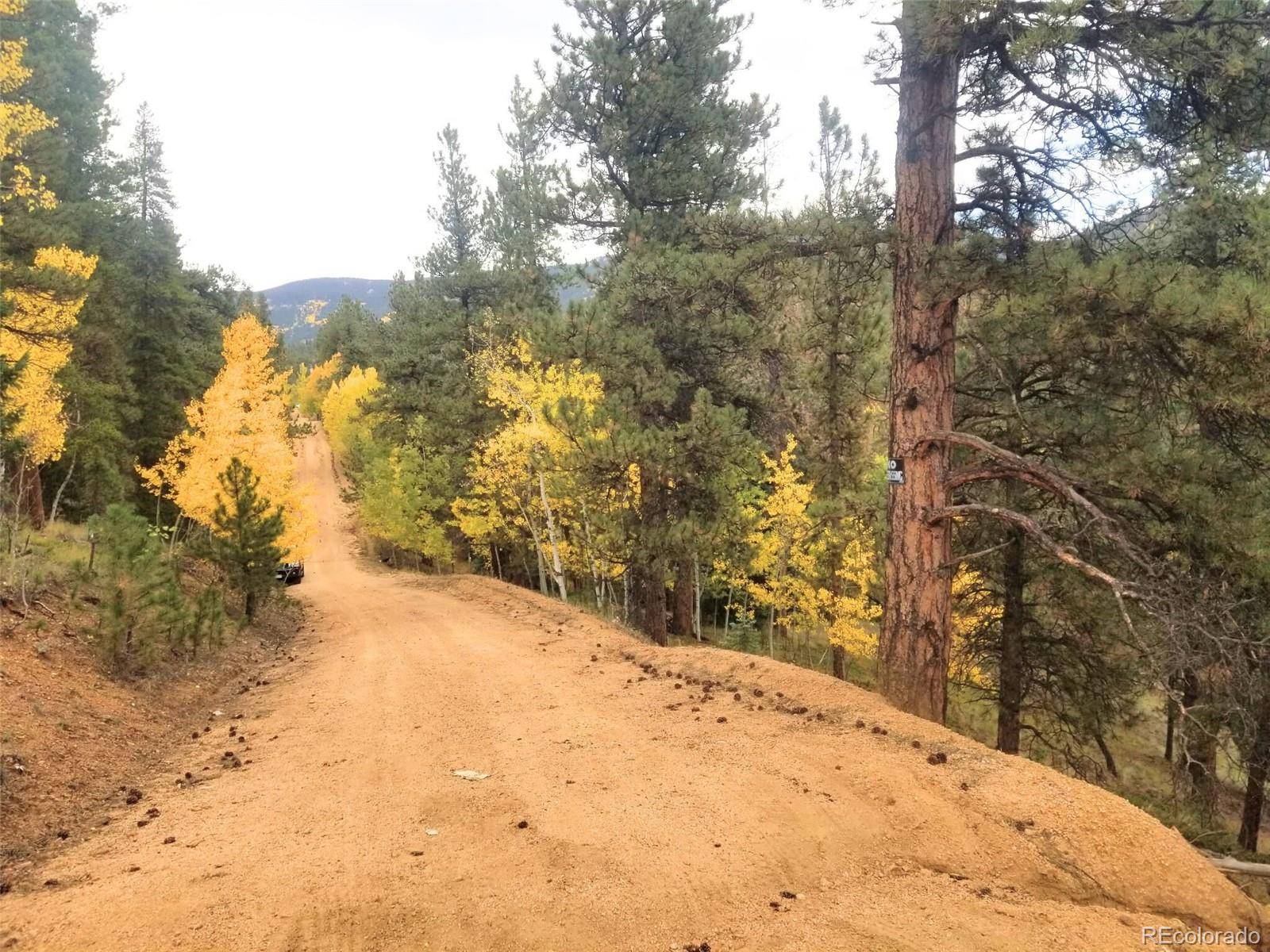 Bailey, CO 80421,342 & 366 Brown ST