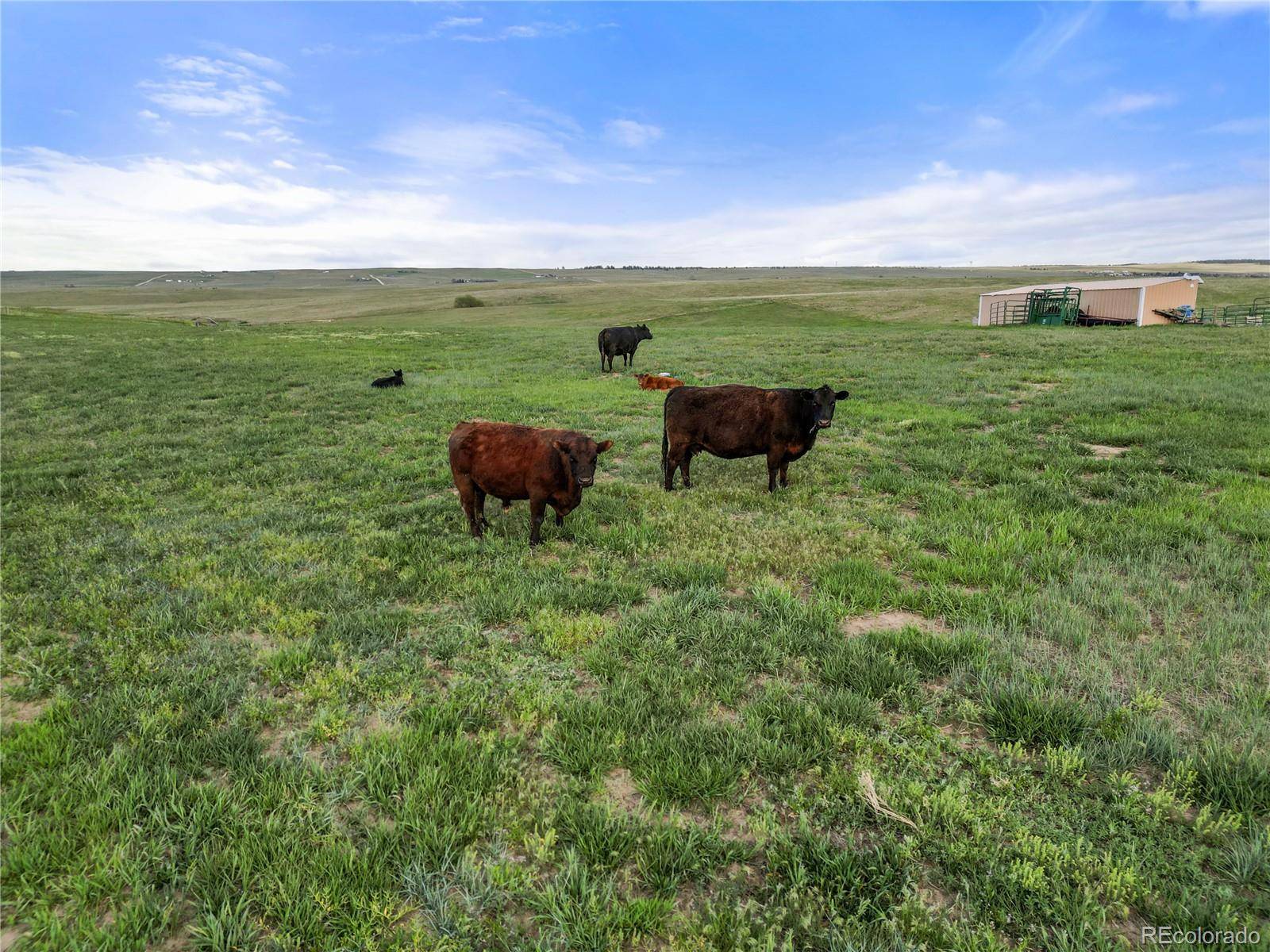 Kiowa, CO 80117,35650 Private Road 35