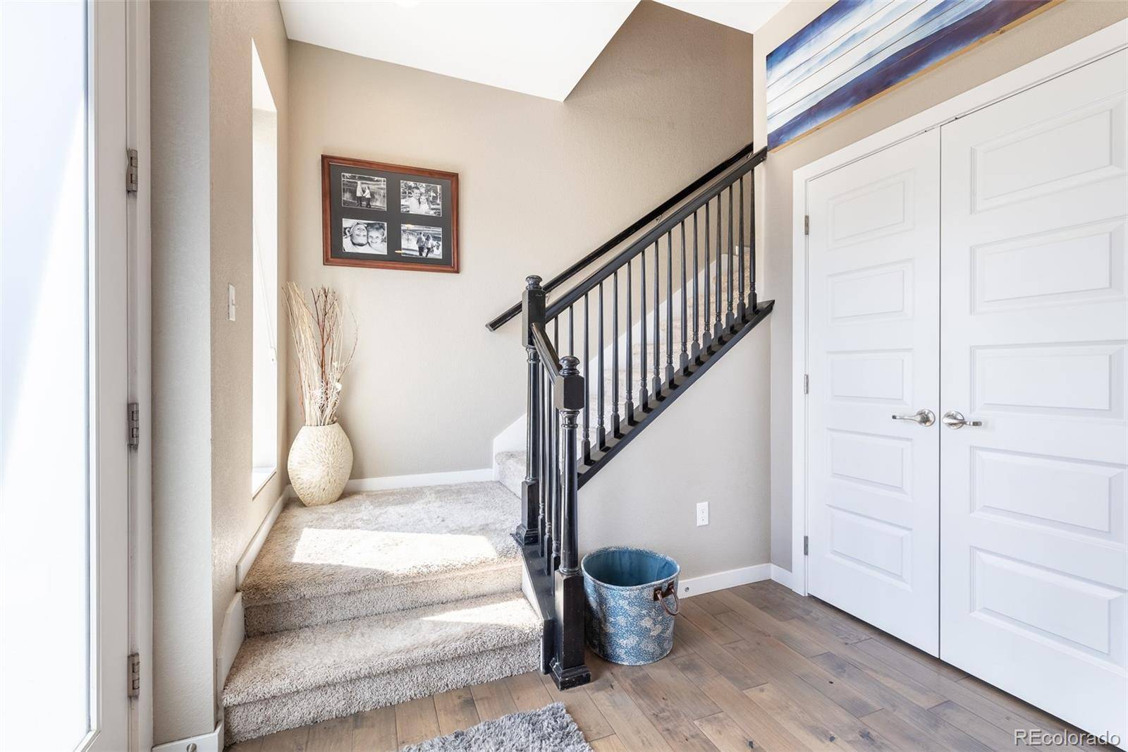 Lone Tree, CO 80124,10066 Belvedere CIR