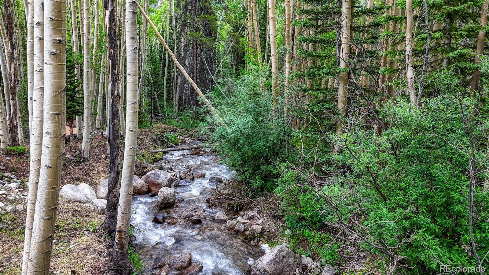 Nathrop, CO 81236,25735 County Road 295