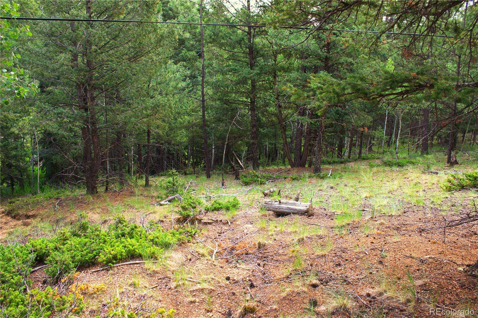 Divide, CO 80814,123 Ellis Lake CIR