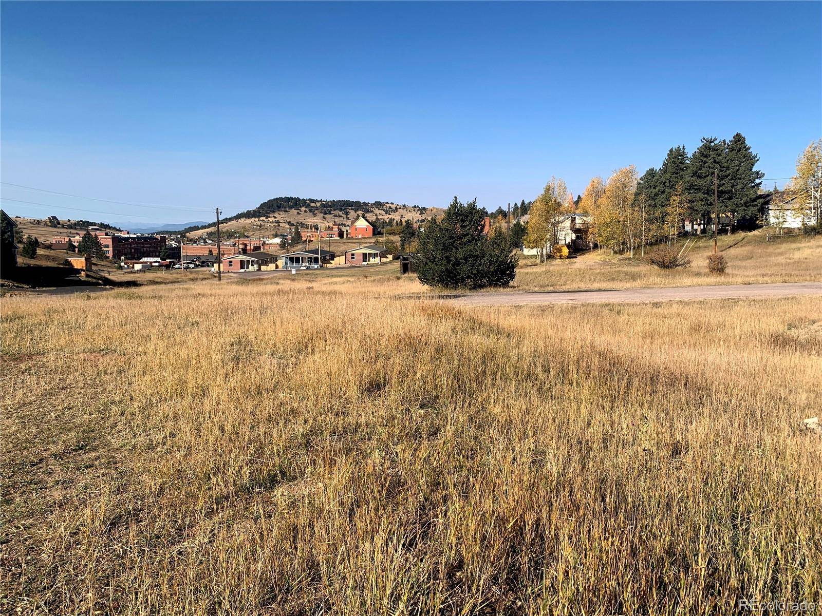 Cripple Creek, CO 80813,703 Lode ST