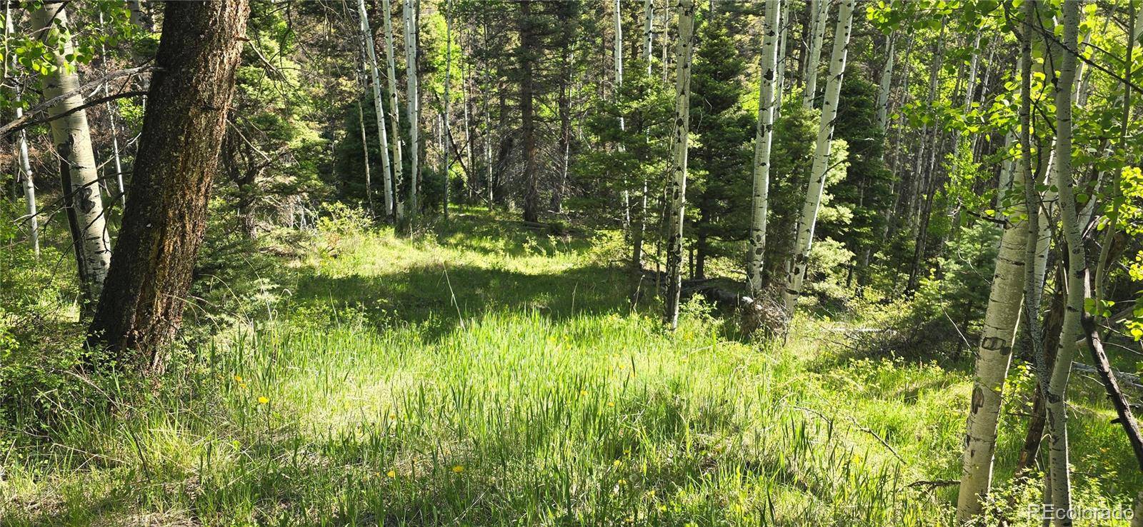 San Luis, CO 81152,Lot 6385 Jaquez RD