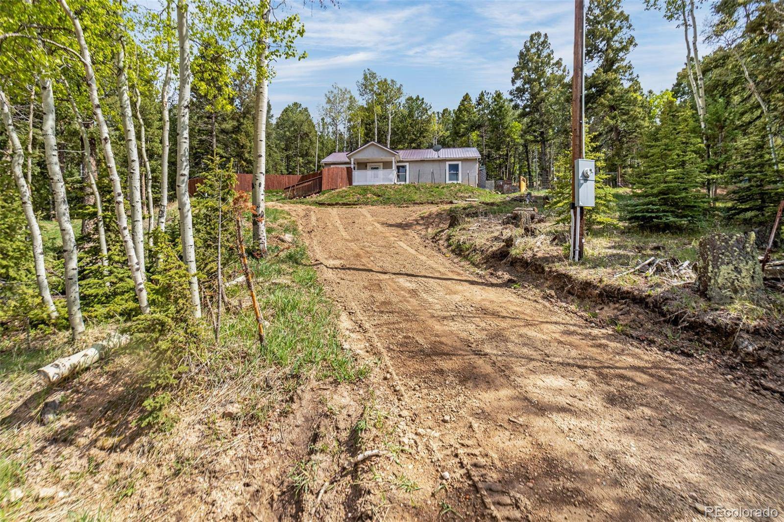 Divide, CO 80814,86 Will Stutley DR