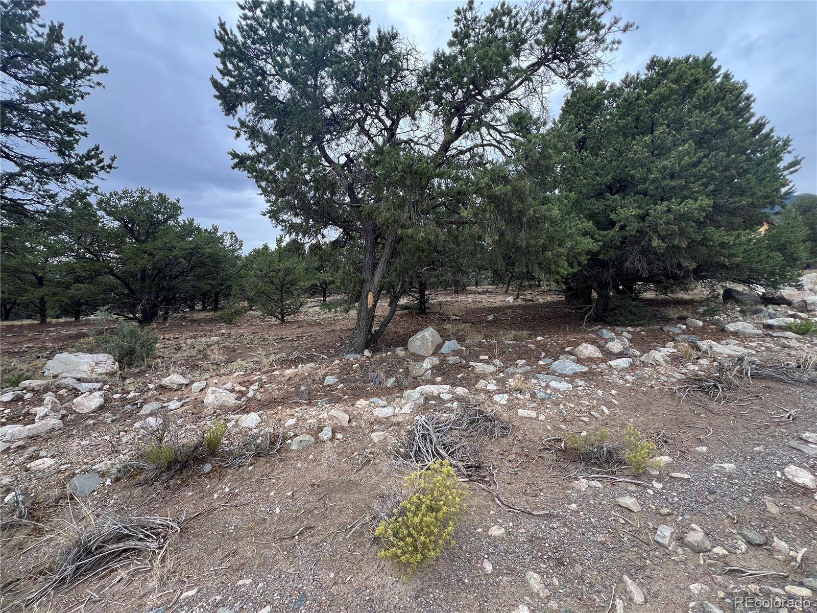 Crestone, CO 81131,1917 Lone Pine WAY