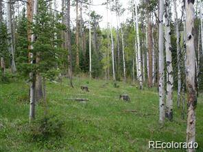 Walden, CO 80480,Highway 127