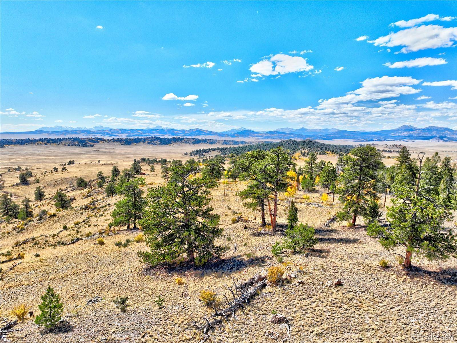 Hartsel, CO 80449,3433 Dog Chief TRL
