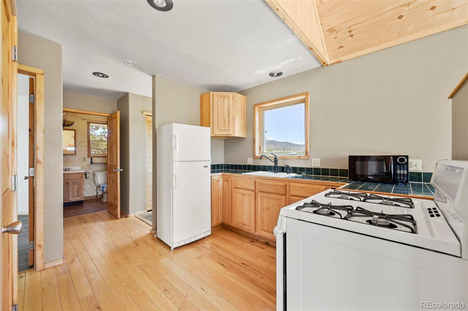 Hartsel, CO 80449,1689 Grand Teton DR