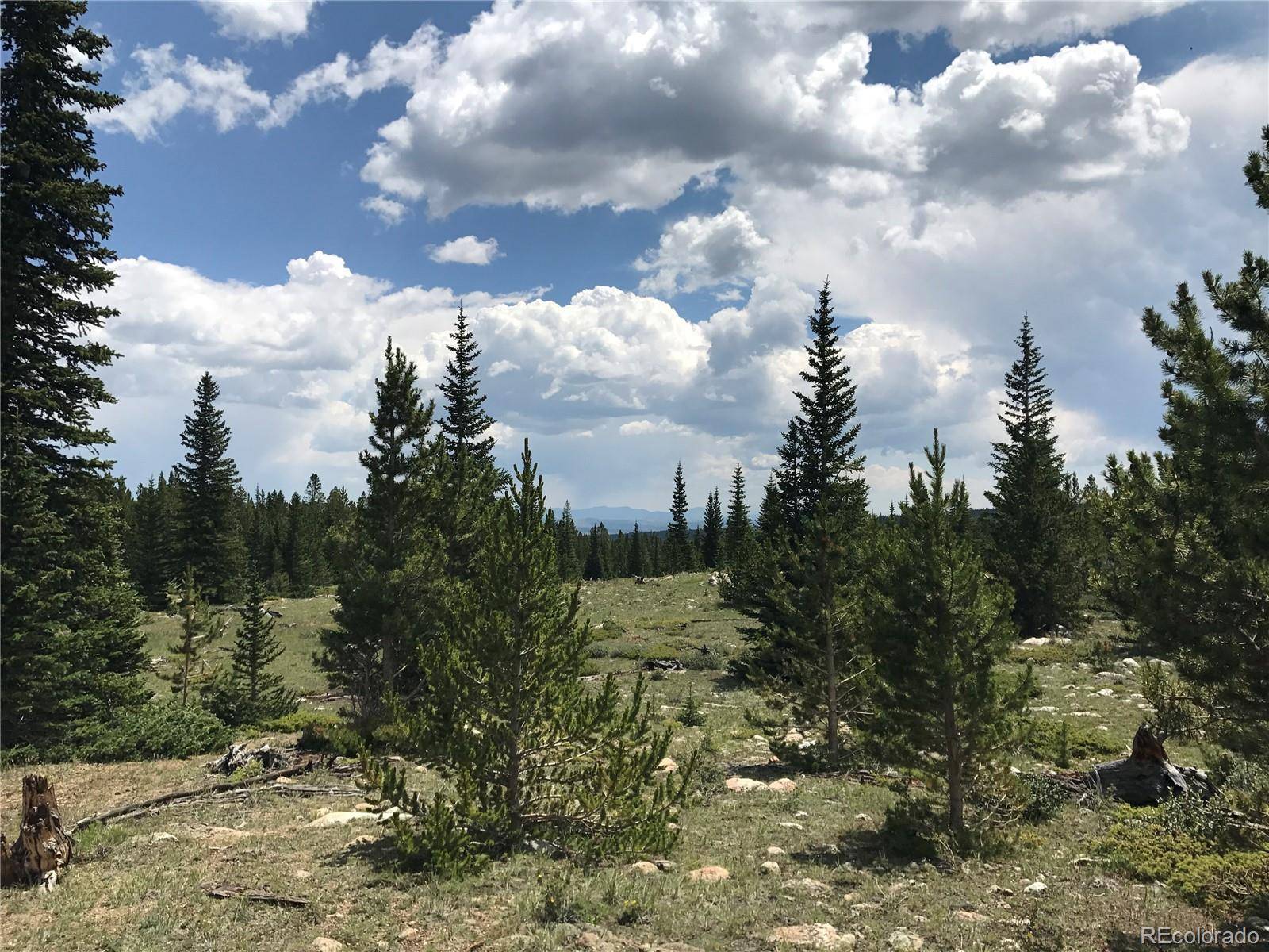 Fairplay, CO 80440,4 Timberline TRL
