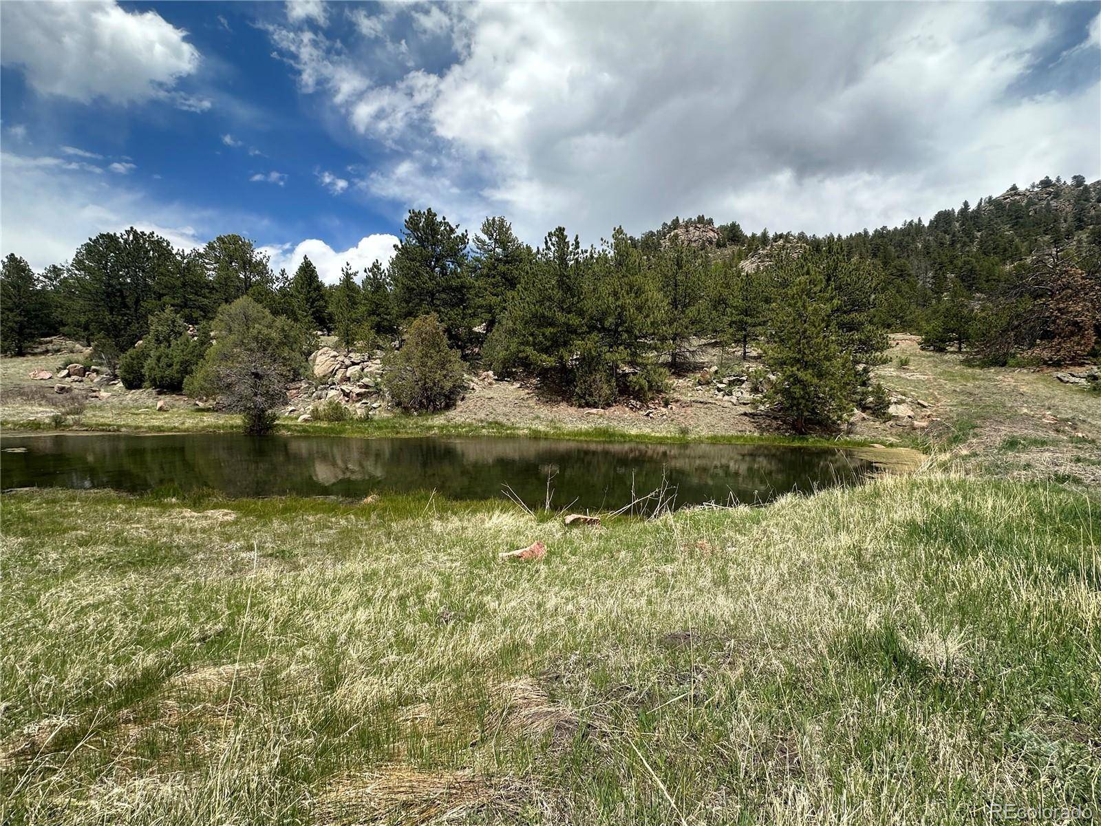 Florissant, CO 80816,2332 County RD