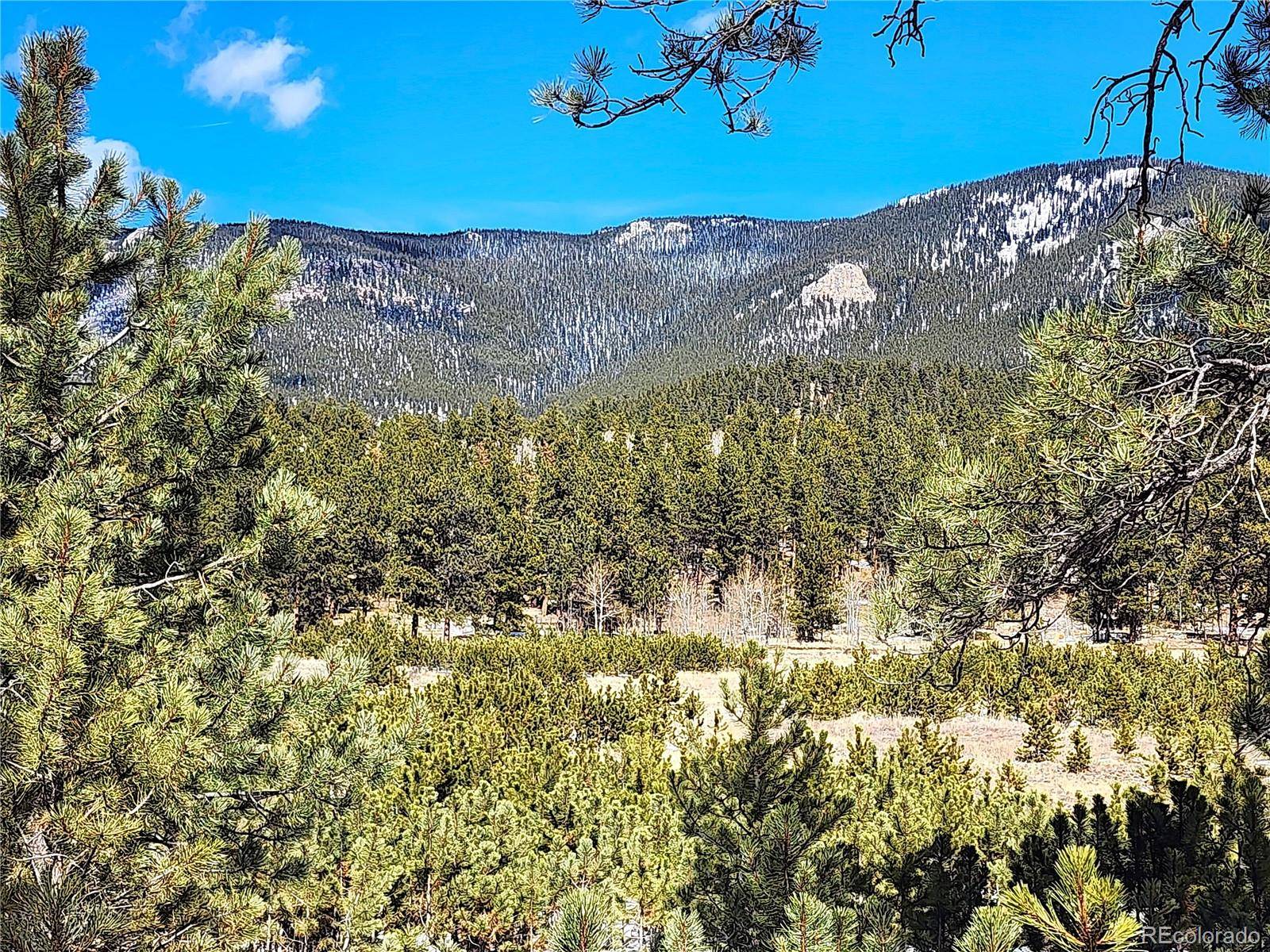 Bailey, CO 80421,116 Neal ST