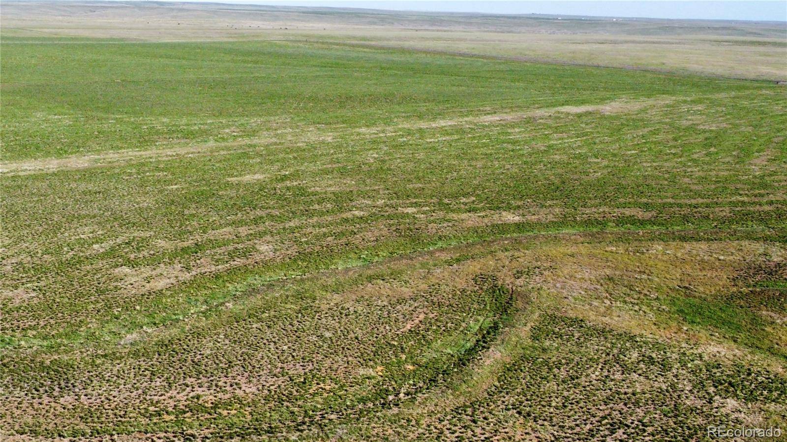 Deer Trail, CO 80105,County Road 125