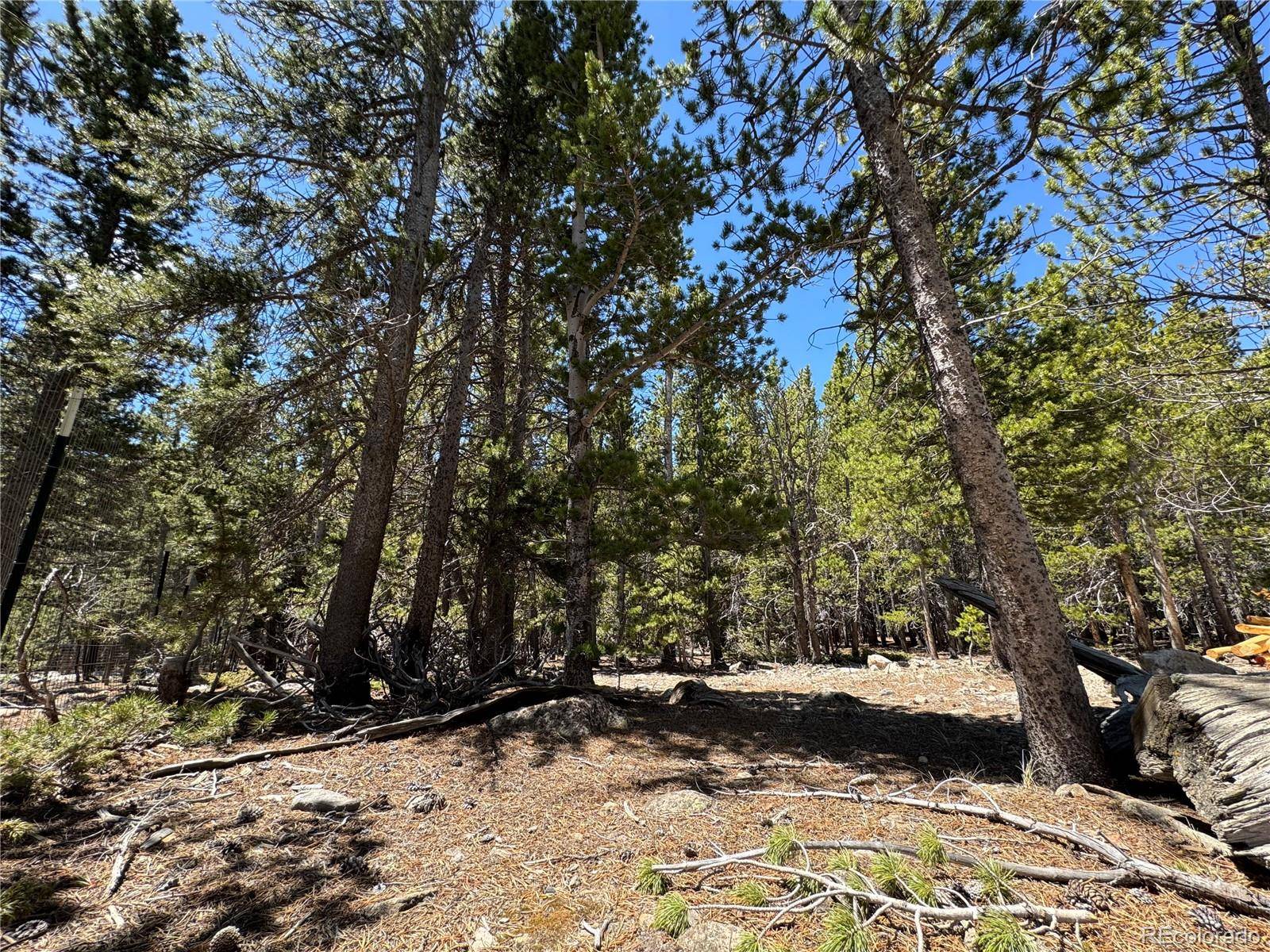 Idaho Springs, CO 80452,Lot 342 Eva RD