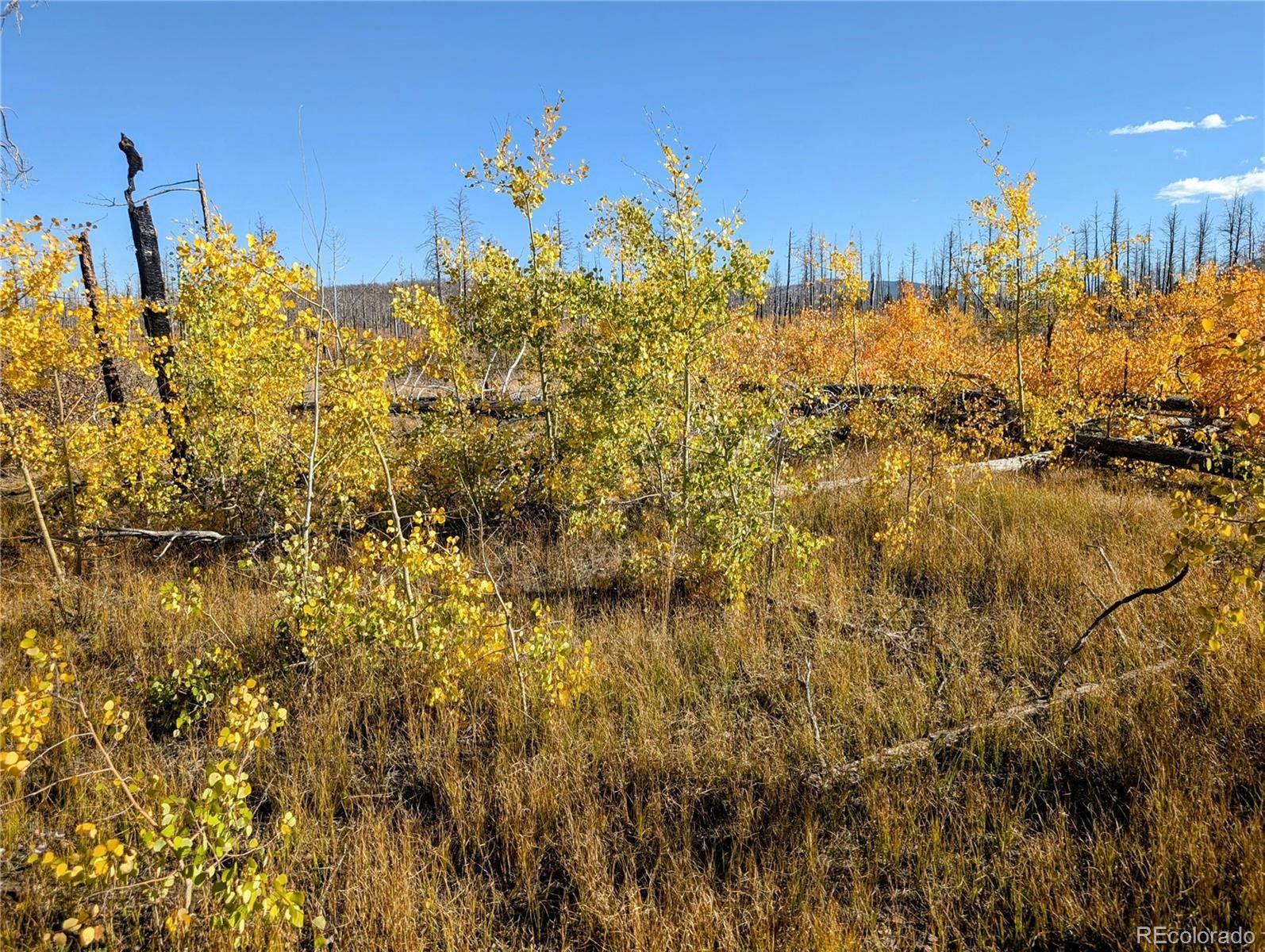 Fort Garland, CO 81133,Lot 1368 Kings LN