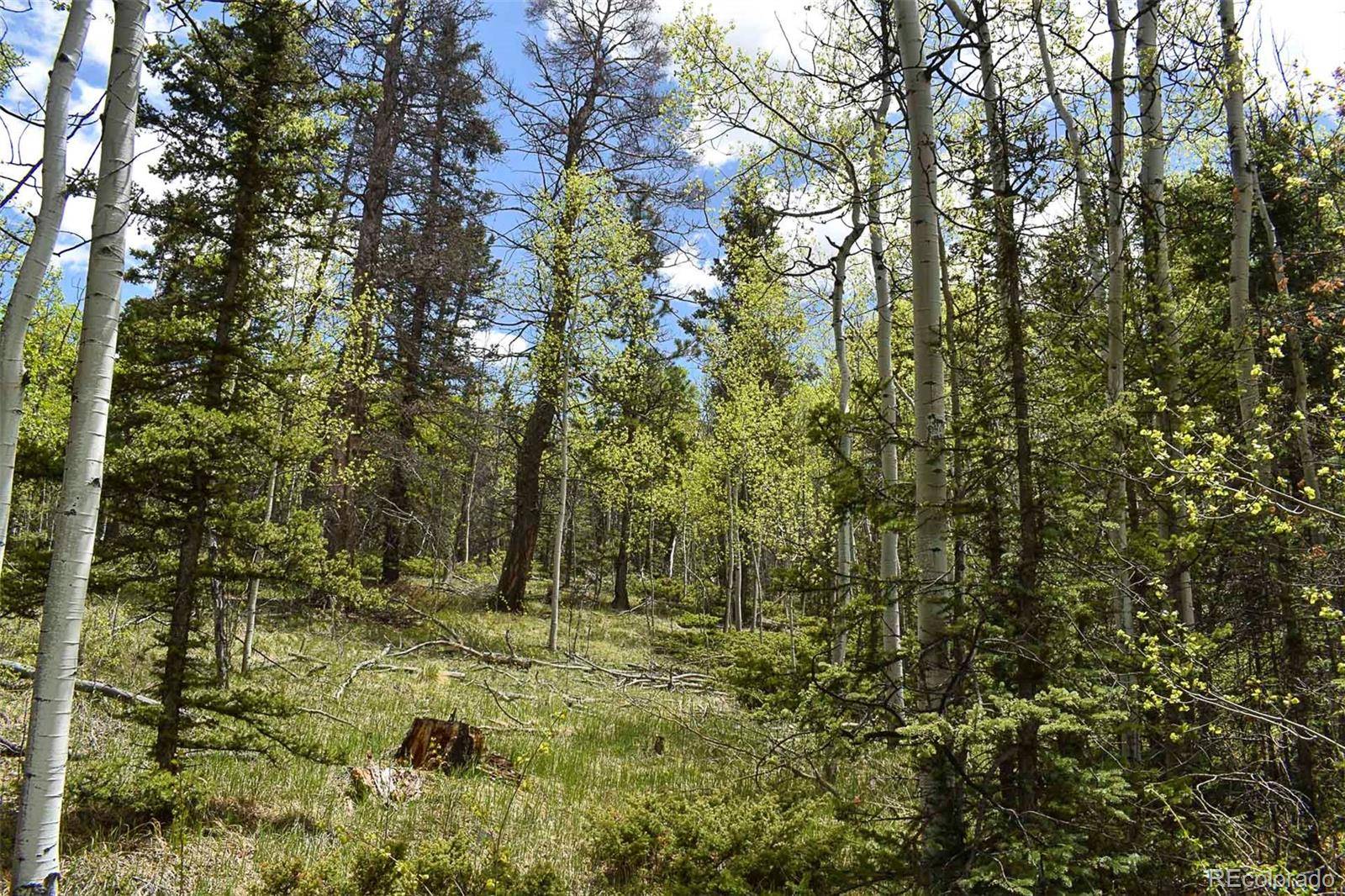 Guffey, CO 80820,430 Timberline DR