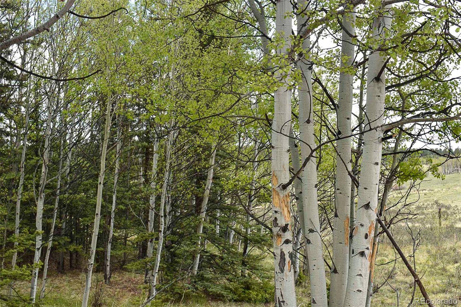 Guffey, CO 80820,430 Timberline DR