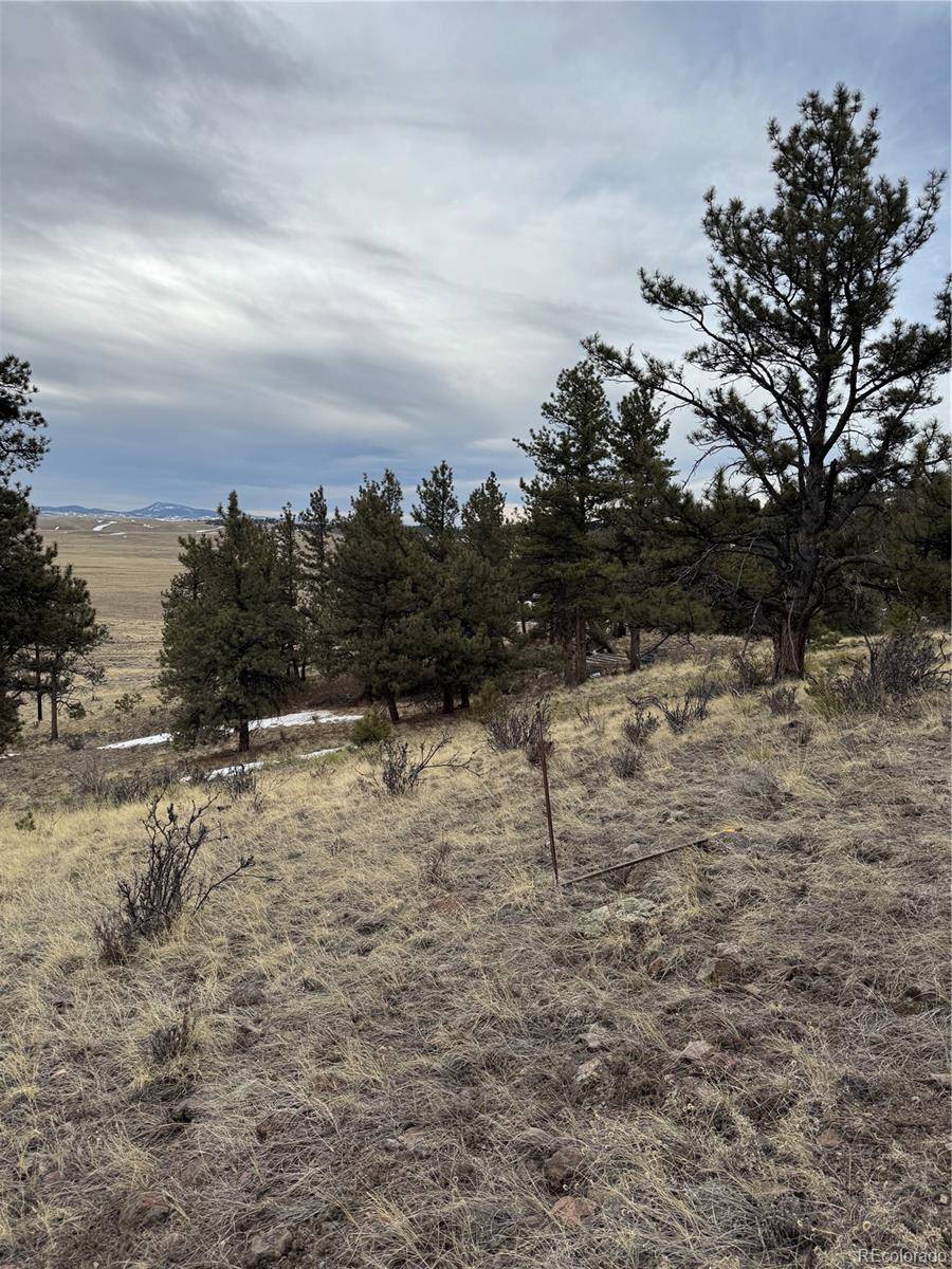 Hartsel, CO 80449,203 Loft WAY